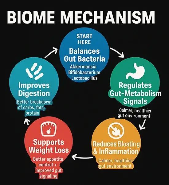 Bioma Mechanism of Action